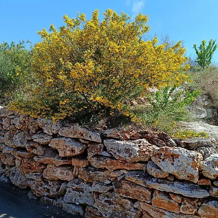 شقة Thracian Cliffs голф كافارنا