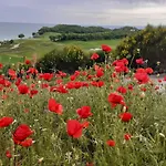Thracian Cliffs голф