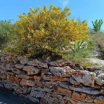 Апартамент Thracian Cliffs голф Каварна
