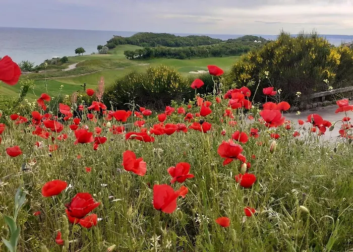 Thracian Cliffs голф