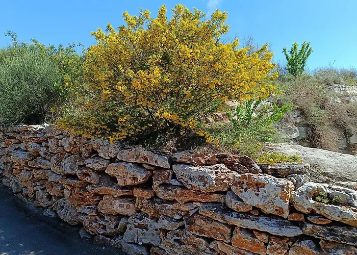 Lejlighed Thracian Cliffs голф Kavarna