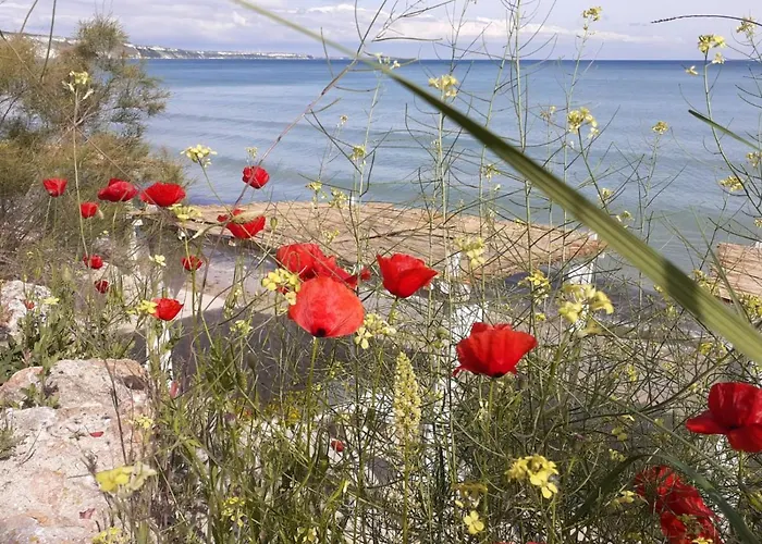 Thracian Cliffs голф アパート